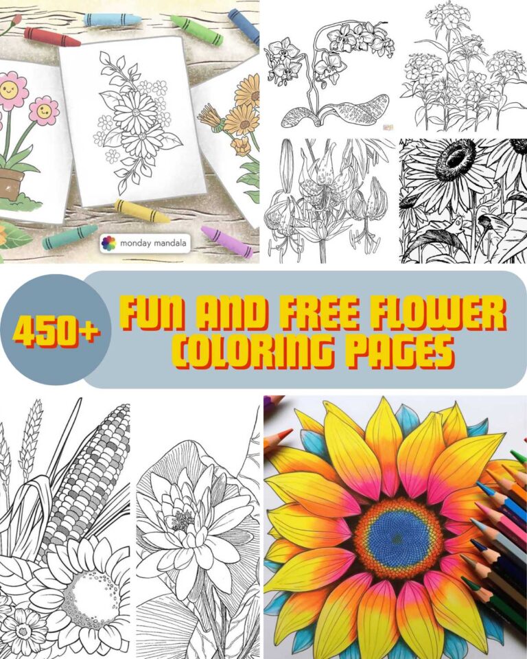 Jazz up your arts and crafts session with our 450+ flower coloring pages. The designs range from various flower patterns, suitable for adults and kids. So pick up your coloring supplies and download your favorite flower page to begin!