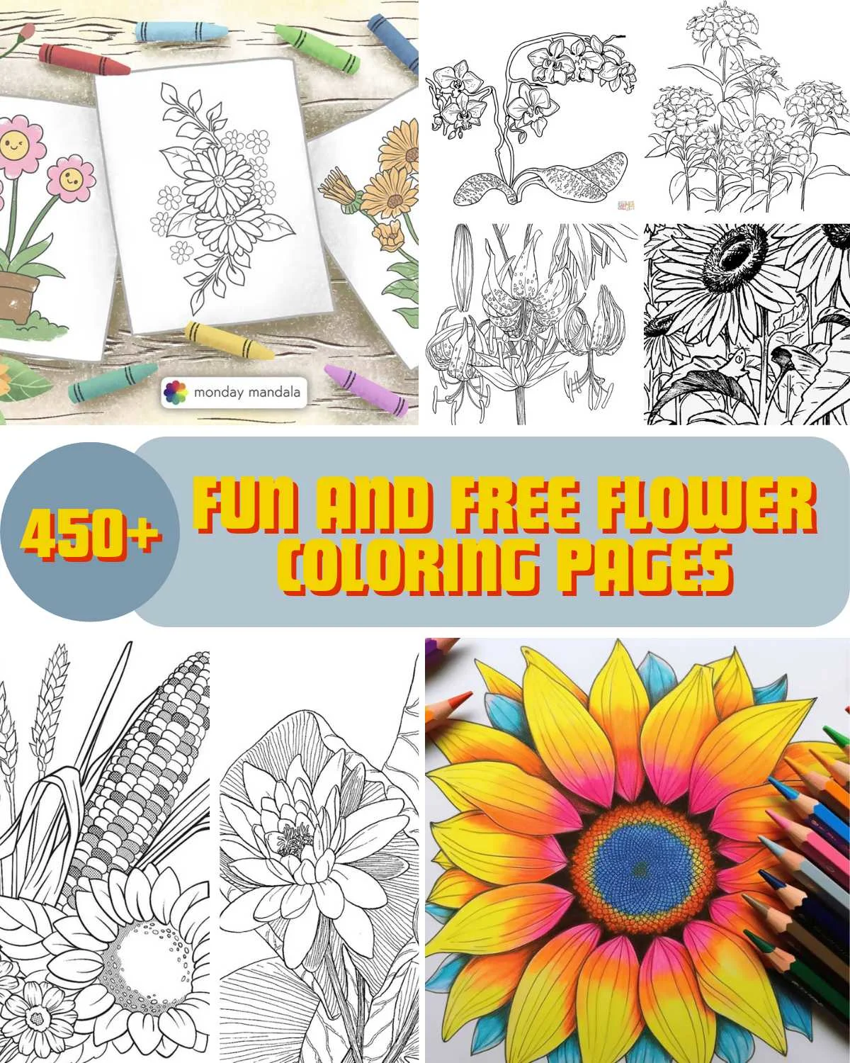 Jazz up your arts and crafts session with our 450+ flower coloring pages. The designs range from various flower patterns, suitable for adults and kids. So pick up your coloring supplies and download your favorite flower page to begin!