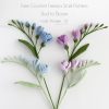 Free crochet freesia flower pattern showing a handmade stalk from bud to full bloom
