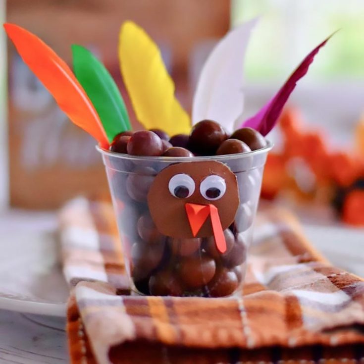 Elevate your Thanksgiving this season with these adorable treat cups! They're awesome for movie nights with the kids, and all you need are some clear plastic cups to create an artistic way to store your candy.