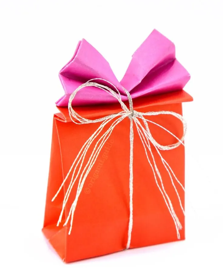 A standard gift bag can never go wrong! The tutorial offers you a simple method on how to make a paper bag in which you can put in your sincere birthday wishes and gifts for your family and friends. Remember to spice it up by adding your own touches!