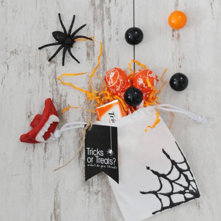 Sparkle up Halloween with this glitter spider web trick-or-treat bag! It&rsquo;s an easy and fun craft that adds a bit of shine and spookiness to any Halloween adventure, making it a standout choice for party favors.