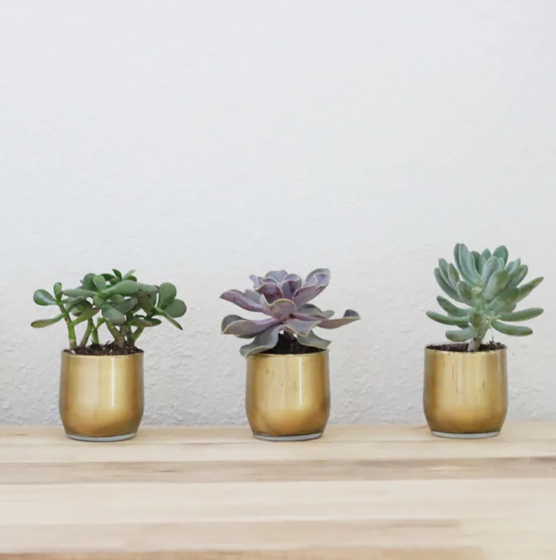 With $1 juice glasses and gold paint, you can easily make these gold succulent vases. Line your study desk with them as decoration or gift it to friends and family as a simple housewarming present.