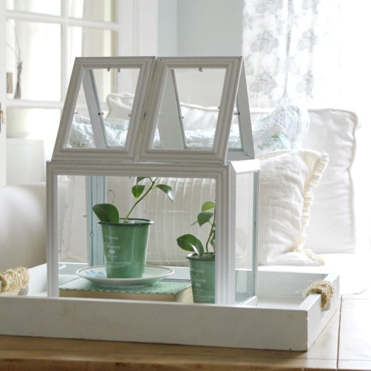 Bring a bit of nature indoors with this charming and simple project with dollar store picture frames and spray paint them to a color of your liking that best suits the decor style of your room. Remember to display it in an area with plenty of sunlight!