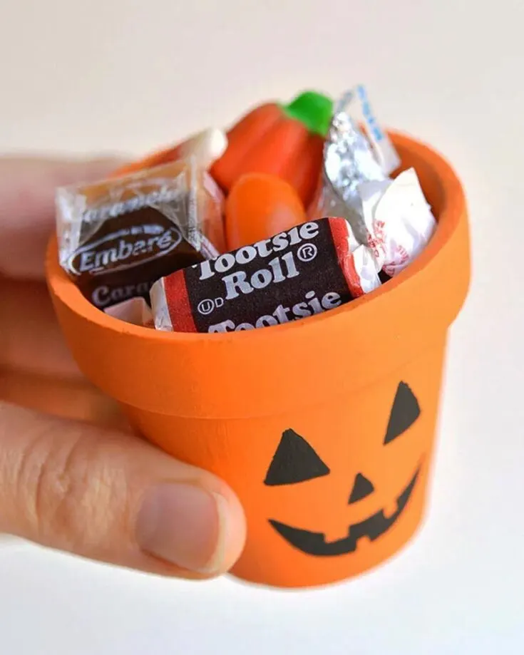 Turn an ordinary clay pot into a fantastic way to show off the Halloween spirit! Choose from an array of Halloween characters to paint onto your pot to personalize it. It makes the perfect craft for adding a festive touch to your home!