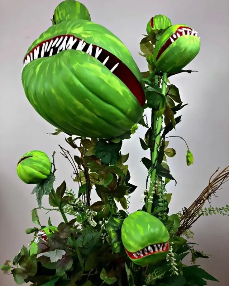Are you looking for unique Halloween decor? Look no further; we have a unique one for you and your family to try out! Plant some freaky fun with this man-eating plant.