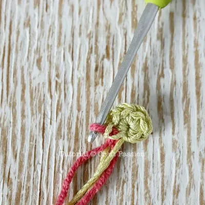 basic crochet flower