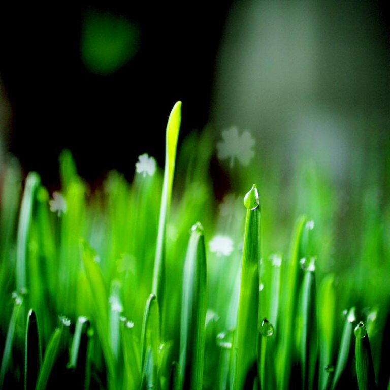 Learn how to create your own DIY Shamrock Bokeh Lights effects and adapt the method to create custom bokeh shapes.