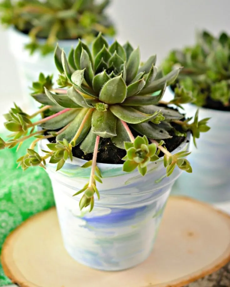 Check out these amazing marble-designed pots for your plants to flourish in! This simple craft will only take a few minutes of your day to create, and they&rsquo;re so slick! With just some paint and water, you too can transform your regular pots into an aesthetically pleasing one, yet remaining eco-friendly.
