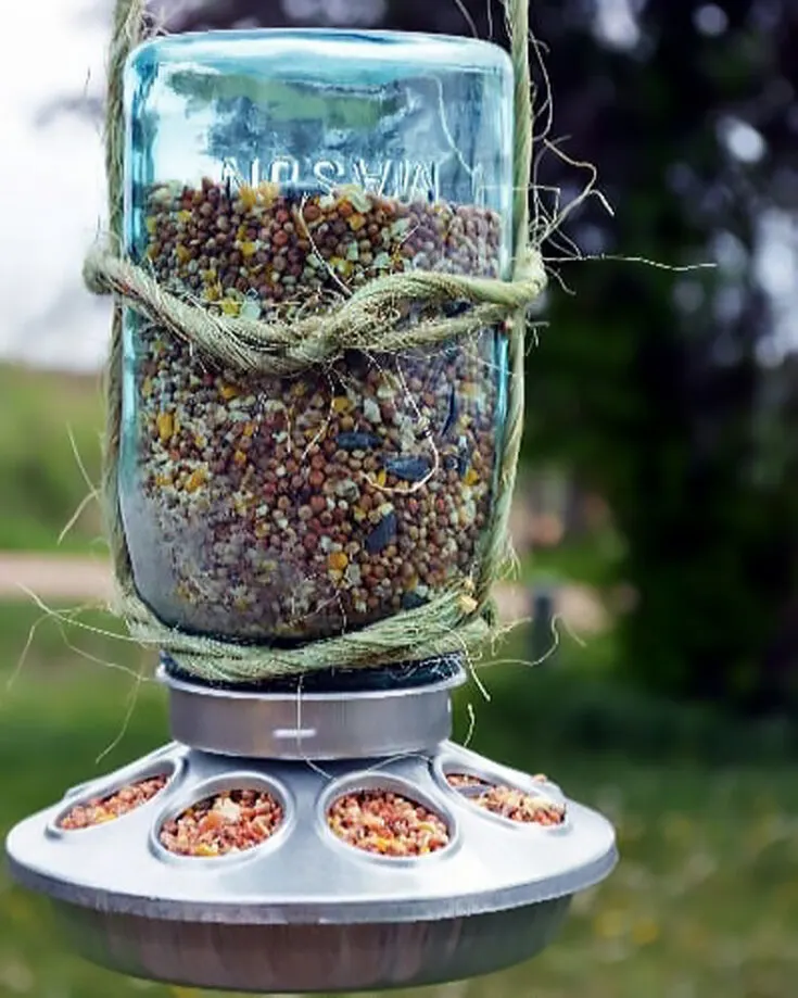 Have feathery friends that like to perch on top of your fences? Want to feed them and keep them full but don't know how? Use this tutorial to your advantage as we teach you how to make a dollar tree craft that is so cheap!