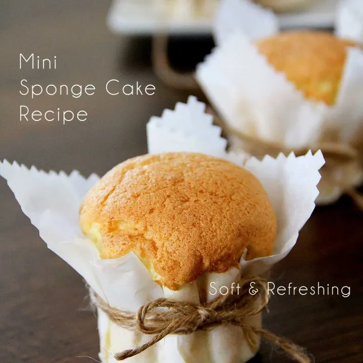 mini sponge cake recipe