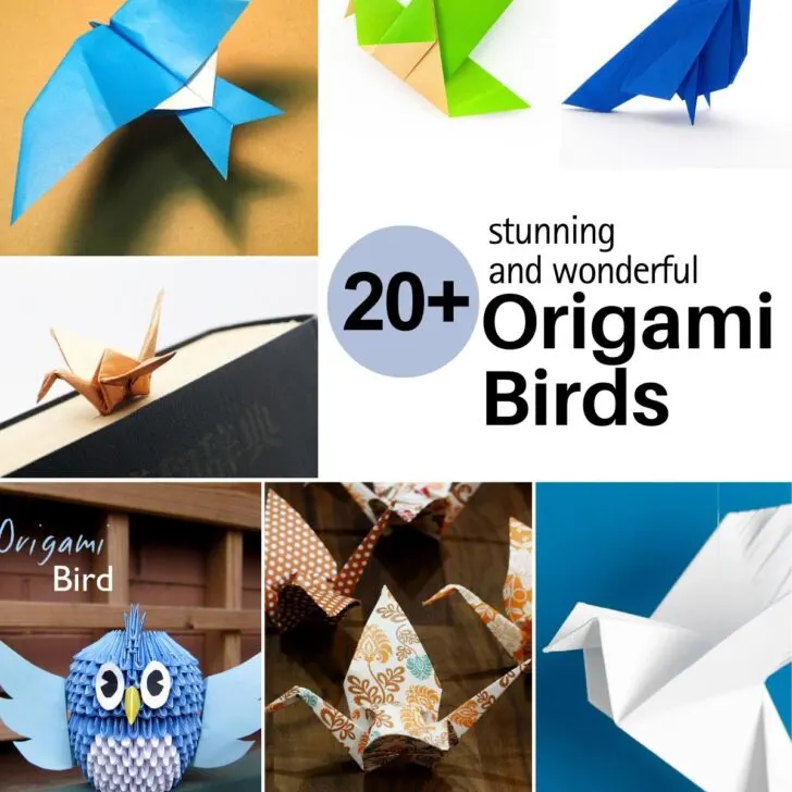 A list full of origami birds that anyone can make! Find inspiration from our list to create your very own breathtaking origami bird with your own hands!