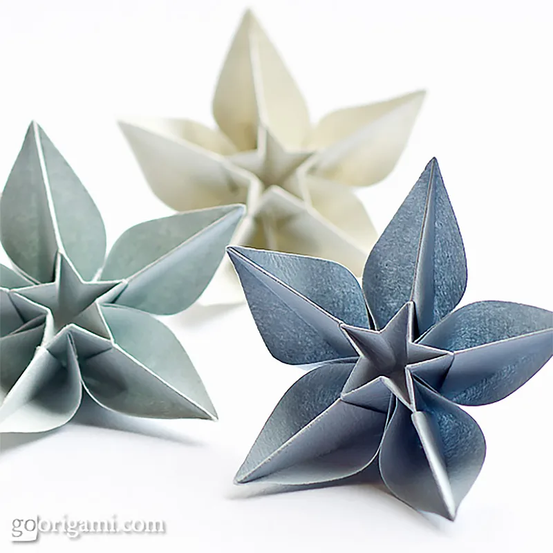 Want some more unconventional flowers? Give this simple carambola flower origami a go.