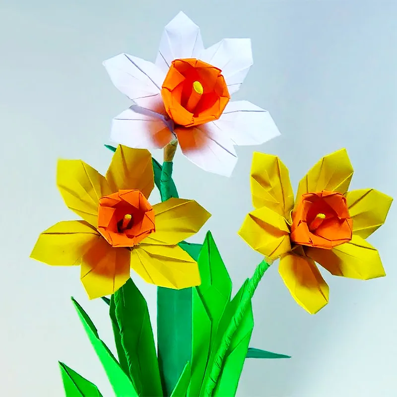 This origami daffodil is no small origami design, however, the challenge will definitely be worth it and rewarding.