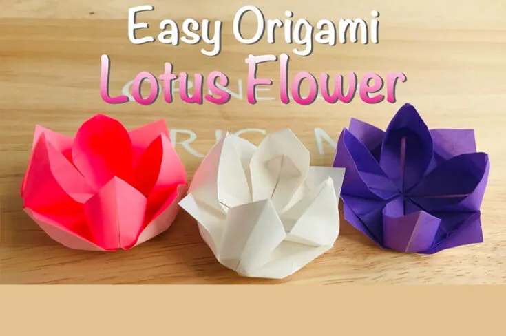 This step-by-step flower origami for lotus flowers is a video tutorial. The lotus origami flower design in this tutorial is easy and perfect for beginners who already have a grasp on making simpler flowers.