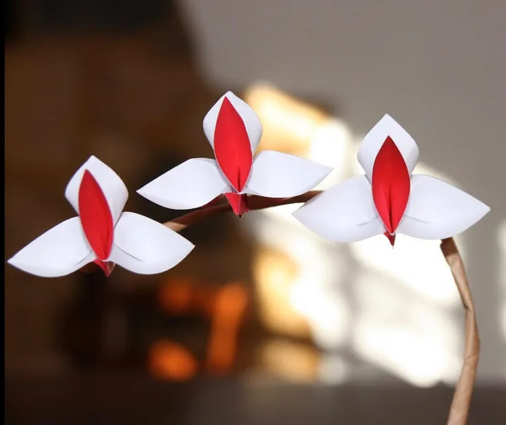 This lovely orchid flower origami design is fairly simple in terms of folding. But the finalization of the petals can be a bit tricky. It would be a good idea to practice on draft paper before starting on origami paper.