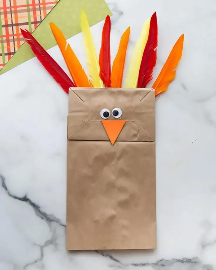 Ever wonder what to do with all the fast food paper bags? Try this tutorial! This craft is straightforward; you can quickly transform a paper bag and feathers from an ordinary paper bag into a lovely turkey.