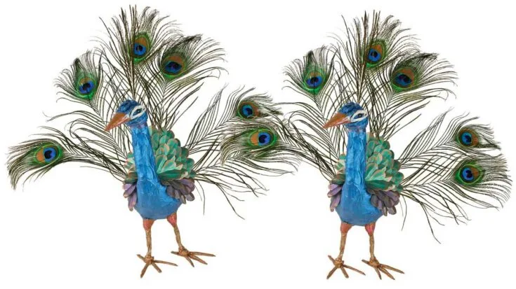 Craft a stunning peacock using papier mache, paint it with metallic paints, and finish it off by attaching some fake peacock feathers! You can use this DIY peacock&nbsp;as a part of your garden decor.