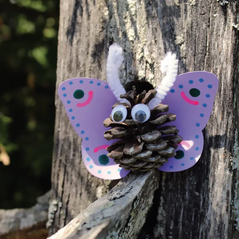 Introducing an exciting addition to the mix. Get dirty and out in the woods to find a pinecone to get started. We love it as it adds a natural element to the craft, making it more special.