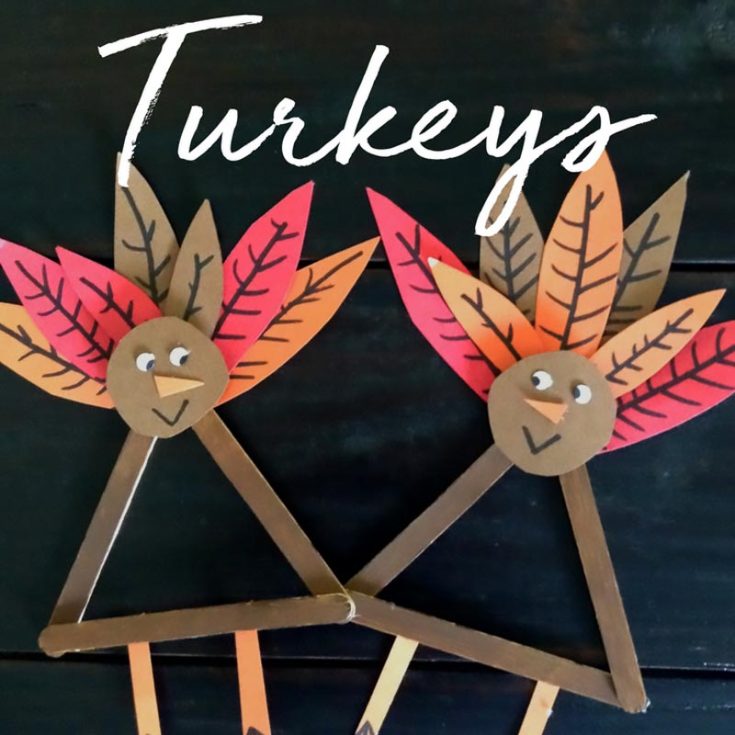 Get ready to craft some fun with these popsicle stick turkeys! It is a fun and easy project to spice up your Thanksgiving decor. Not to mention, it's a great lesson on recycling!