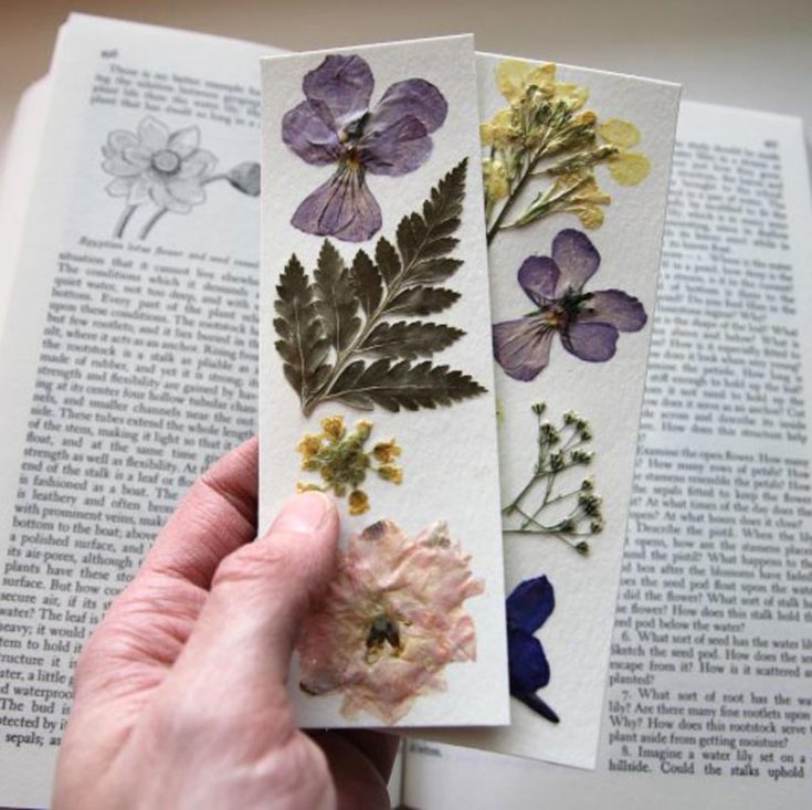 Spruce up your reading with DIY pressed flower bookmarks! This adorable craft lets you capture the beauty of spring and summer flowers in a bookmark. It's easy, fun, and a great way to make your book stand out.