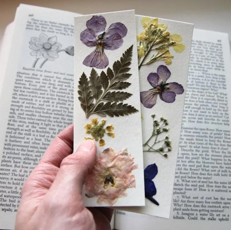 Spruce up your reading with DIY pressed flower bookmarks! This adorable craft lets you capture the beauty of spring and summer flowers in a bookmark. It's easy, fun, and a great way to make your book stand out.