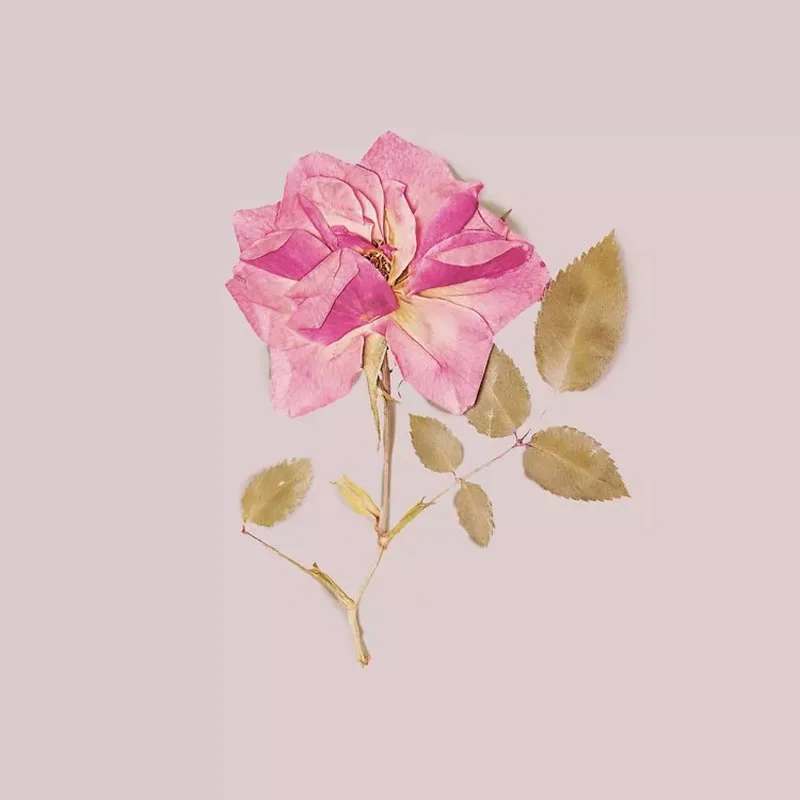 If you love displaying flowers, this might be your preference. Learn how to preserve flowers properly while still making them look realistic. They are such a great wall decor to show off your beautiful blooms!