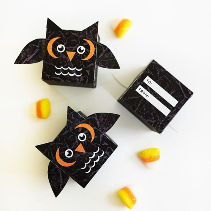 Halloween is the perfect time for dressing up candy! Whether hosting a party or surprising trick-or-treaters, these spooky owl favor boxes are a fantastic way to package treats. Check out the free printable spooky owl treat box to add a fun touch to your goodies!