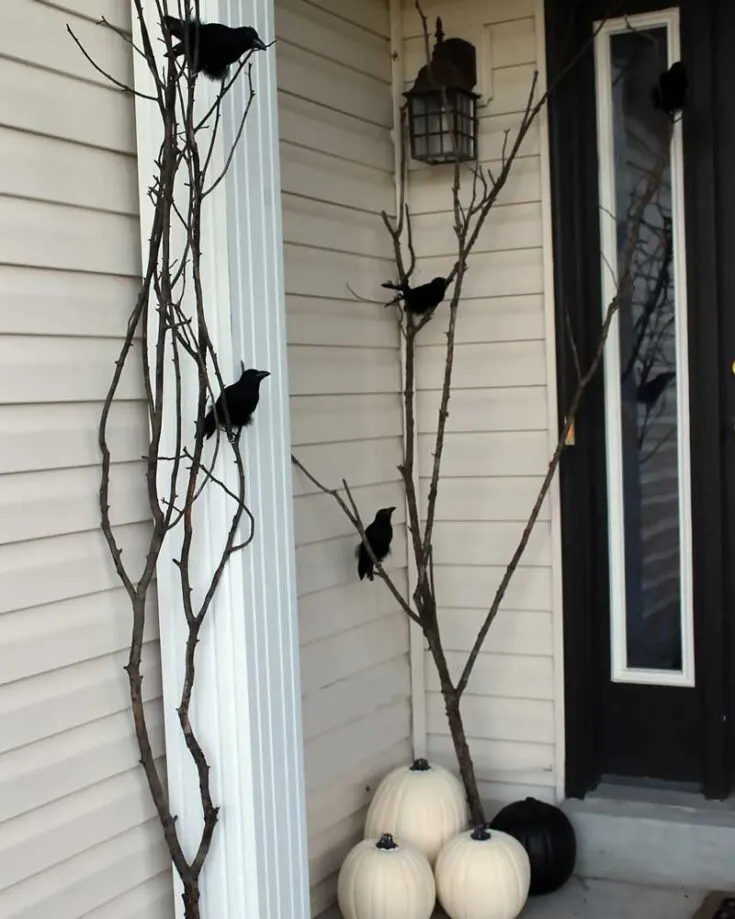 Ravens are often associated with bad fortune or omen. Why not turn that around? Learn to make your own ravens that will perch on your porch and oversee onlookers! You can even add your touch to personalize it!