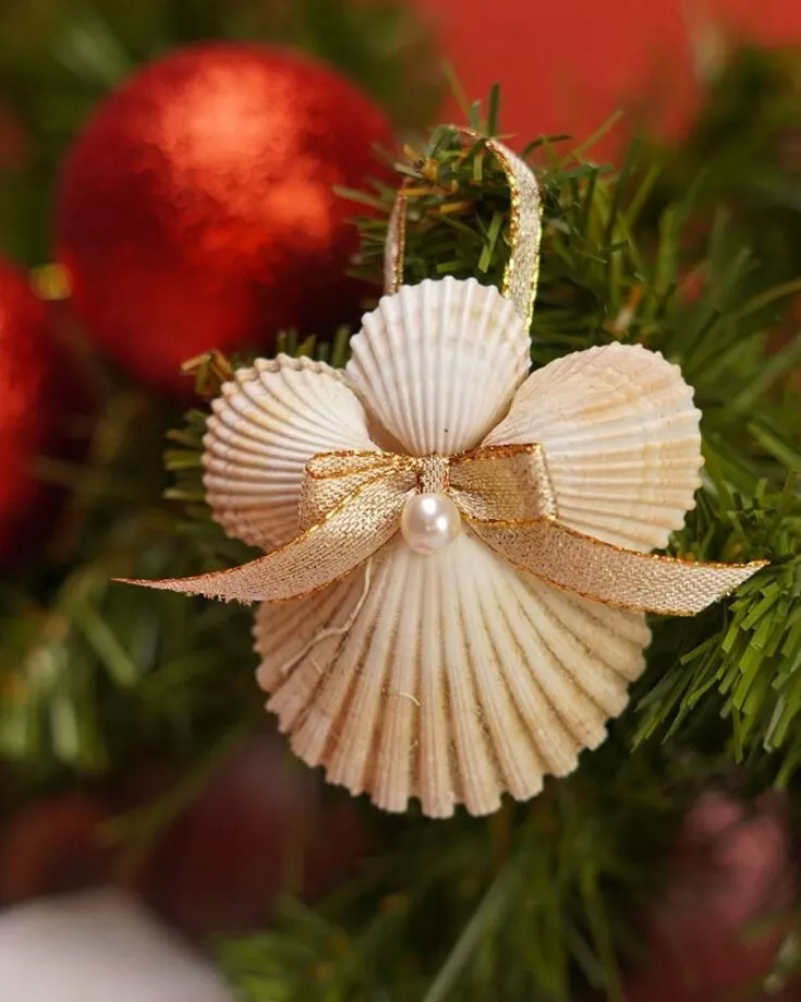 Craft stunning seashell angel ornaments for Christmas to hold onto those beach memories! This fun project allows for your personal touch&mdash;add some glitter or adorn the shells with ribbons to make them sparkle with holiday magic.