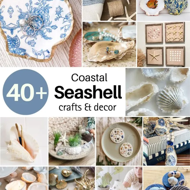 Browse this list of seashell crafts and decor ideas to spark your creativity. Turn your shells into something special that captures those sunny days!