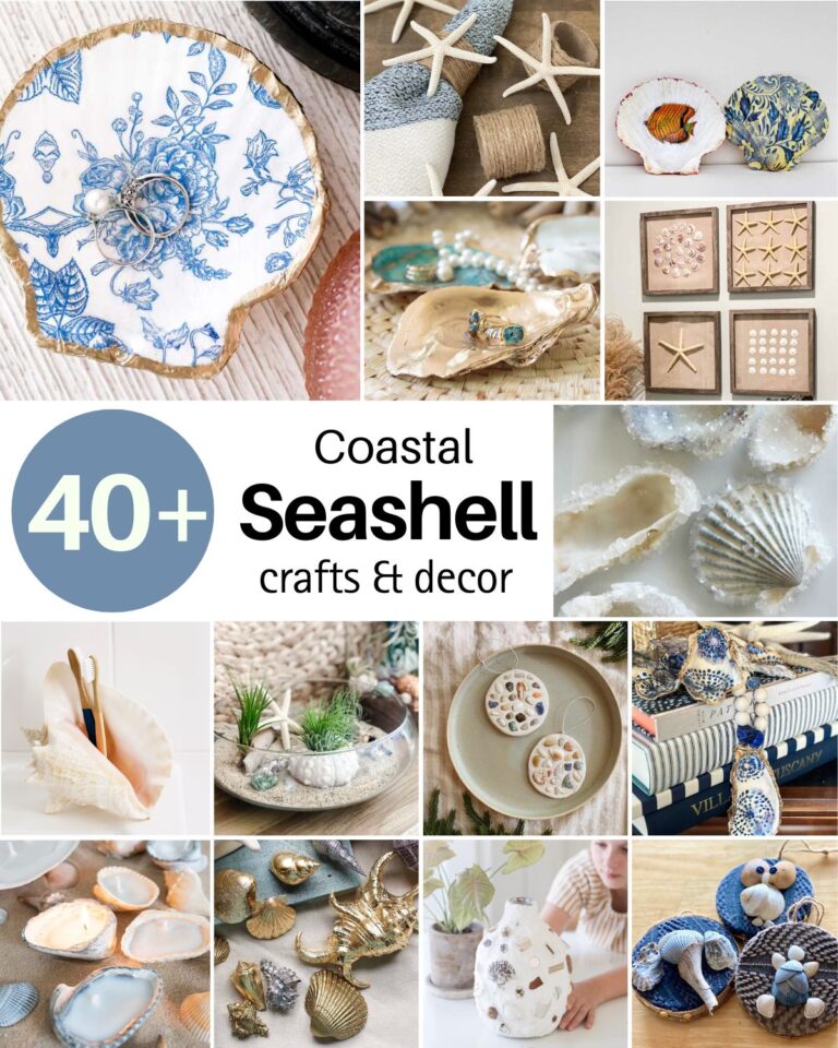 Browse this list of seashell crafts and decor ideas to spark your creativity. Turn your shells into something special that captures those sunny days!