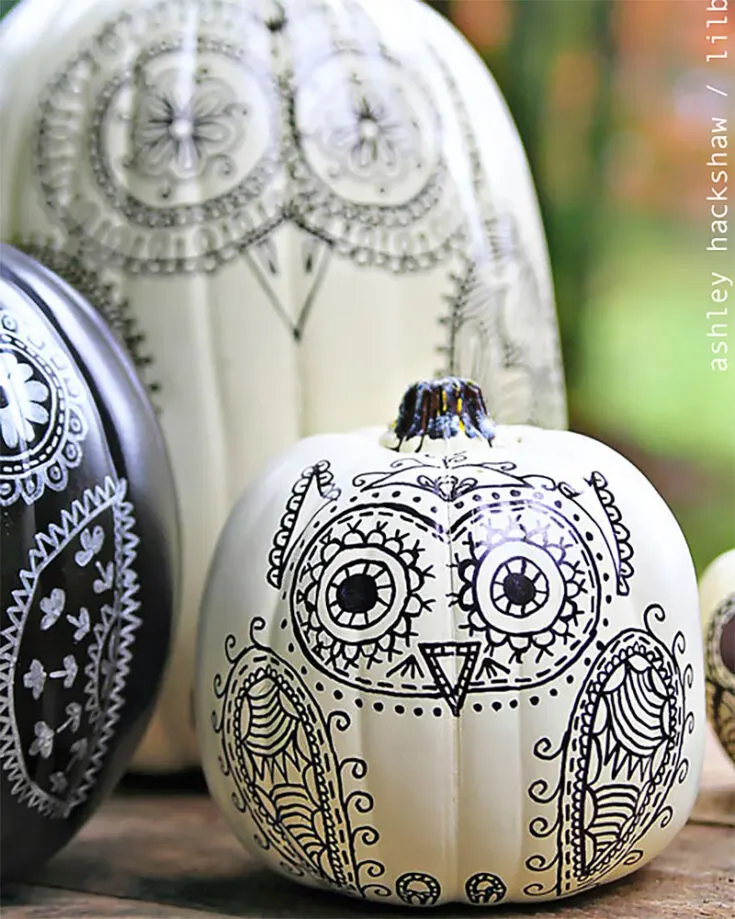 Don't want to spend so much on supplies just for pumpkins? Then grab a Sharpie and some acrylic paint for the base coat, and you're good to go with these Sharpie Owl Pumpkins.