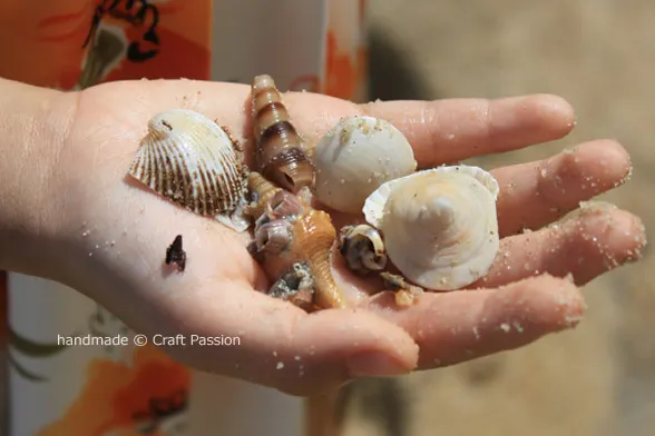 summer seashells