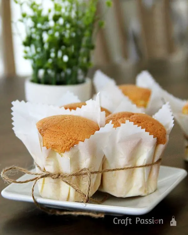 sponge cupcake recipe