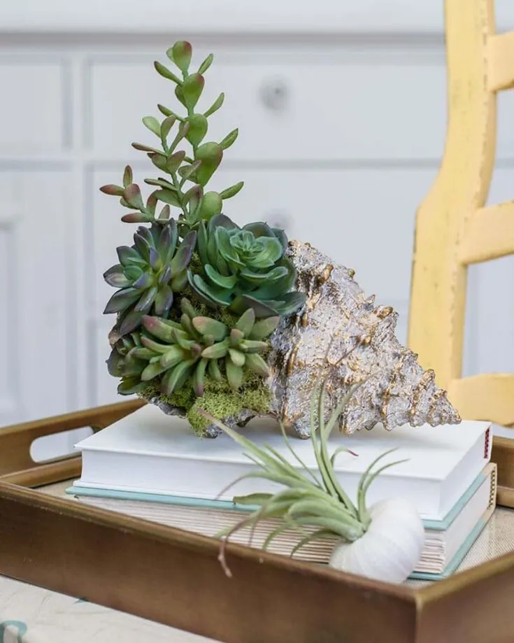 For anyone who loves coastal themes and succulents, this seashell succulent arrangement is a dream come true! It&rsquo;s a quick and delightful project that's perfect for adding a touch of green to any space or as a gift to a friend.