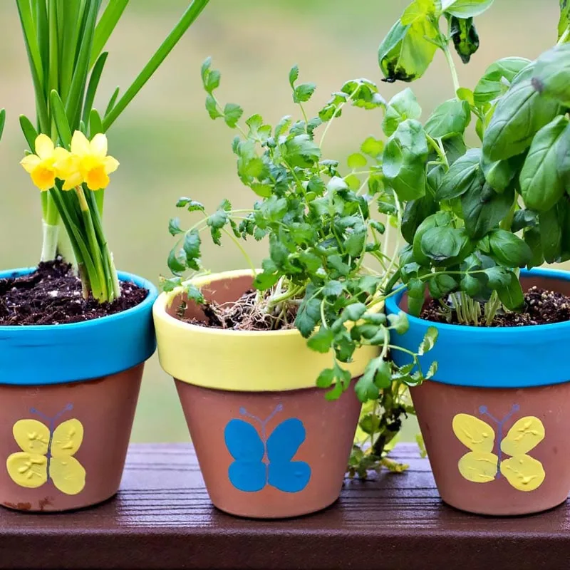 Ceramic flower pots can be quite boring to look at sometimes. So, why not add a splash of your creativity with some simple crafting tools? All you would need are your regular paint supplies to turn a brown pot into a colorful garden!