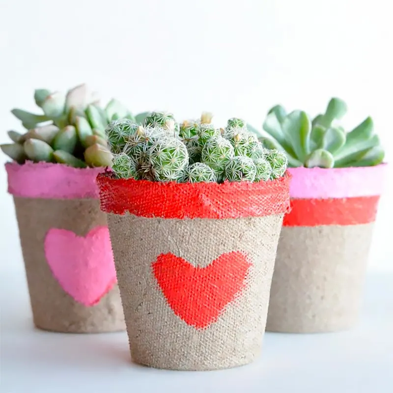 Although flowers are nice and all, get your loved ones pots of succulents that will last way longer! They'll be reminded of your love whenever they water and take care of them.