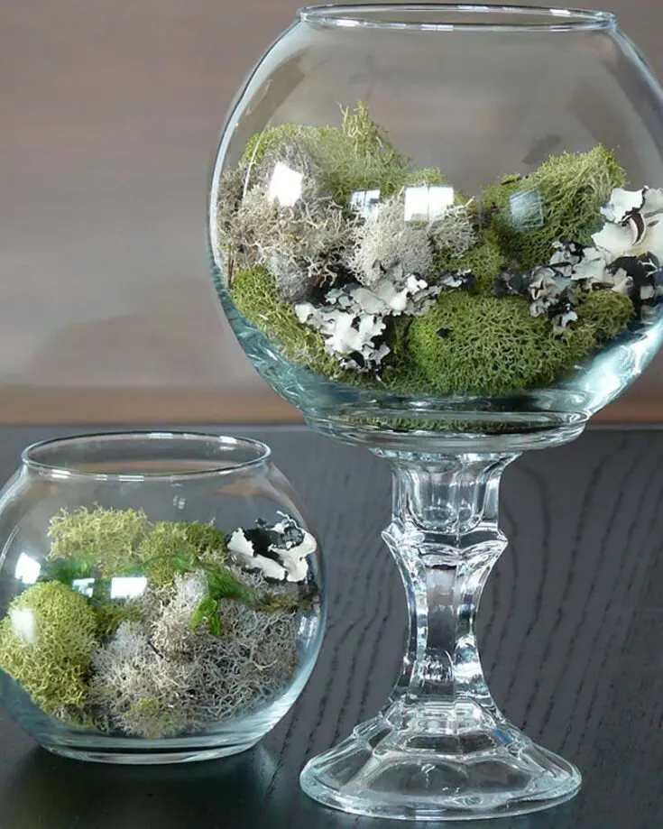 Using fish bowls and glass candlesticks from the dollar store, you can easily craft your very own West Elm Planter for a few bucks and start your own terrarium to bring some green into your home. Remember to line the bottom of the bowl with pebbles to allow drainage for the plants.